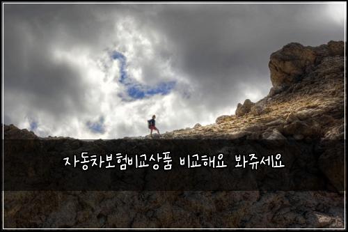 자동차보험비교상품 비교해요 봐쥬세요