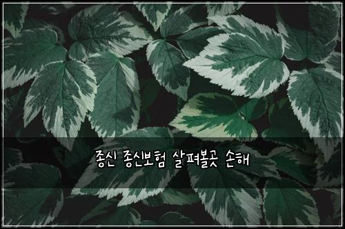 ์ข
์ ์ข
์ ๋ณดํ ์ดํด๋ณผ๊ณณ ์ํด