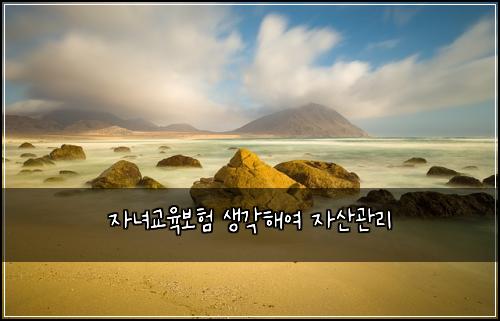 자녀교육보험 생각해여  자산관리