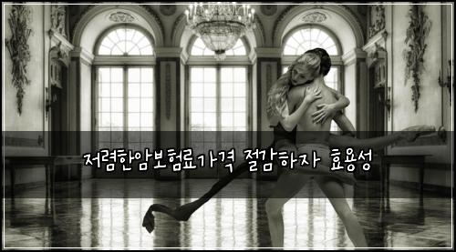 ์ ๋ ดํ์๋ณดํ๋ฃ๊ฐ๊ฒฉ ์ ๊ฐํ์ ํจ์ฉ์ฑ