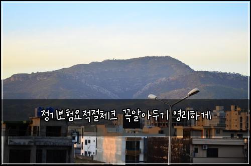 정기보험요적절체크 꼭알아두기 영리하게