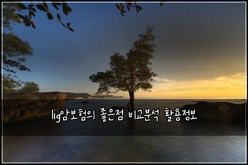 lig์๋ณดํ์ ์ข์์ ๋น๊ต๋ถ์ ํ์ฉ์ ๋ณด