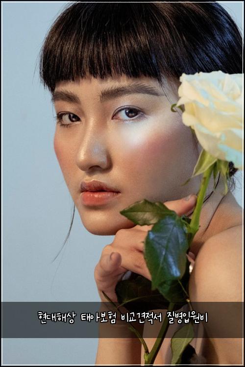 현대해상 태아보험 비교견적서  질병입원비