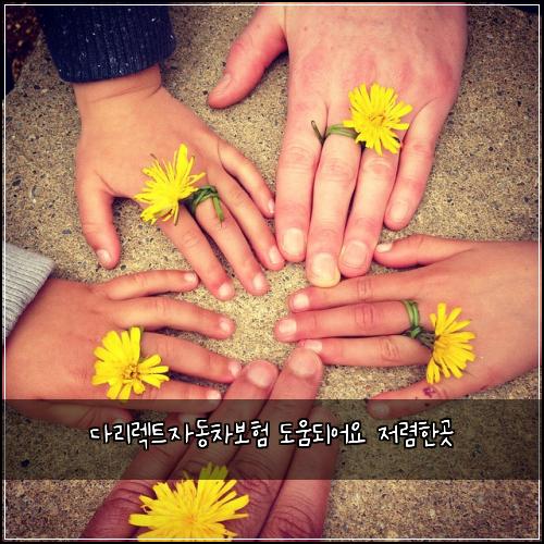 λ€λ¦¬λ νΈμλ차보ν λμλμ΄μ μ λ ΄νκ³³