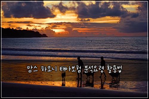 맘스 하모니 태아보험 분석요령  활용법
