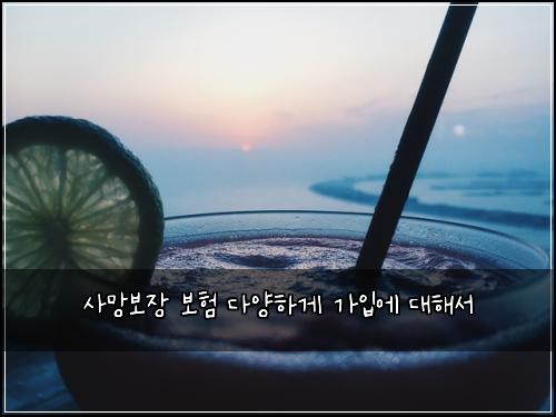 ์ฌ๋ง๋ณด์ฅ ๋ณดํ ๋ค์ํ๊ฒ ๊ฐ์
์ ๋ํด์
