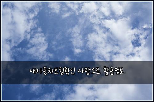 ๋ด์๋์ฐจ๋ณดํํ์ธ ์ฌ๋์ผ๋ก ํ์ฉ์ ๋ณด