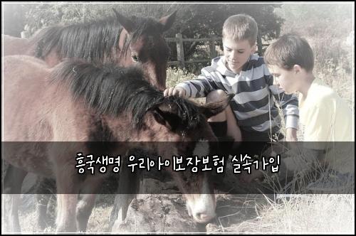 흥국생명 우리아이보장보험 실속가입 
