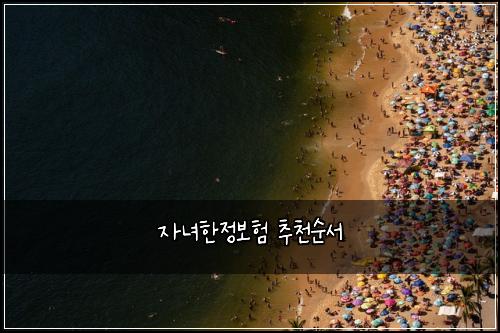 자녀한정보험 추천순서 