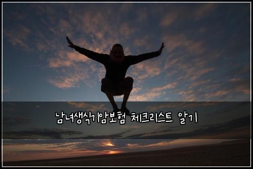 남녀생식기암보험 체크리스트 알기