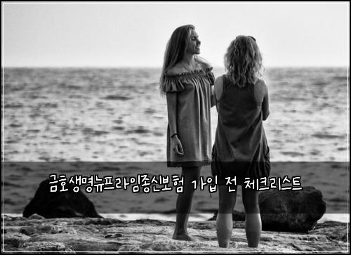 금호생명뉴프라임종신보험 가입 전 체크리스트