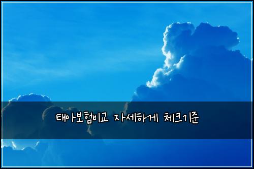 ํ์๋ณดํ๋น๊ต ์์ธํ๊ฒ ์ฒดํฌ๊ธฐ์ค