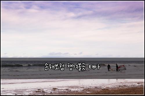 손해보험 챙겨볼곳  태아