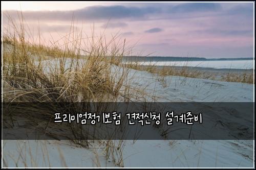 ํ๋ฆฌ๋ฏธ์์ ๊ธฐ๋ณดํ ๊ฒฌ์ ์ ์ฒญ ์ค๊ณ์ค๋น