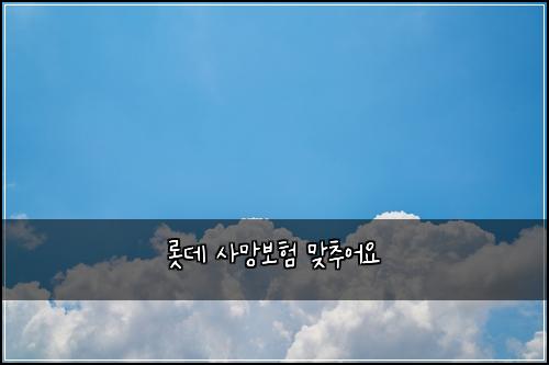 ๋กฏ๋ฐ ์ฌ๋ง๋ณดํ ๋ง์ถ์ด์