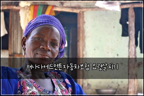 캐나다에드먼튼자동차보험 요령살피기 