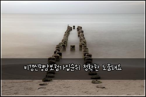 ๋น๊ฐฑ์ ํ์๋ณดํ๊ฐ์
์์ ์ ํํ ๋์๋ผ์