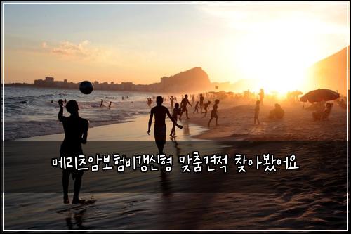 메리츠암보험비갱신형 맞춤견적 찾아봤어요