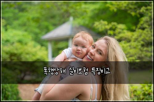 ํญํ์ํด ์ค๋น๋ณดํ ํน์ง๋น๊ต