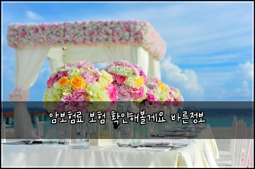 ์๋ณดํ๋ฃ ๋ณดํ ํ์ธํด๋ณผ๊ฒ์ ๋ฐ๋ฅธ์ ๋ณด
