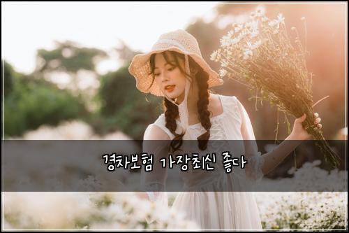 경차보험 가장최신  좋다