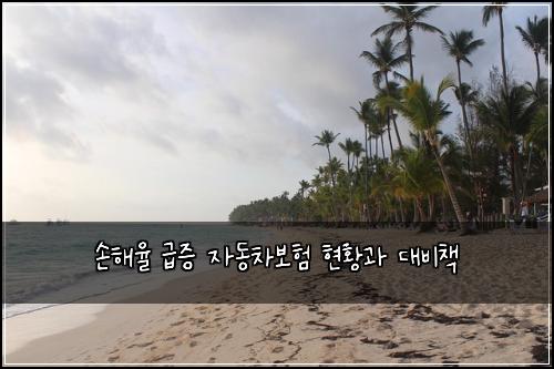손해율 급증 자동차보험 현황과 대비책