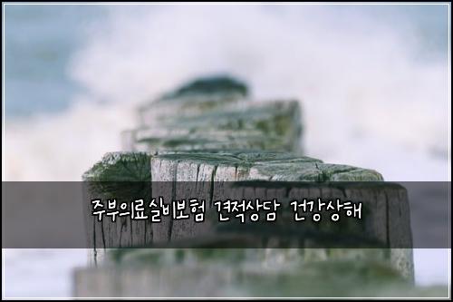 주부의료실비보험 견적상담  건강상해