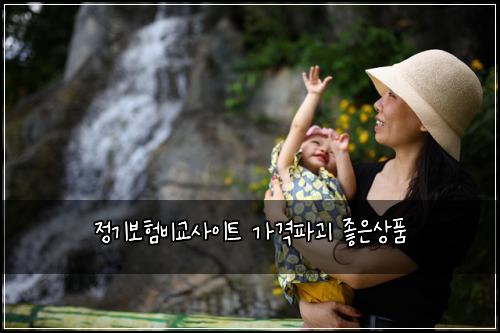 정기보험비교사이트 가격파괴 좋은상품