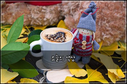 오늘의 색상