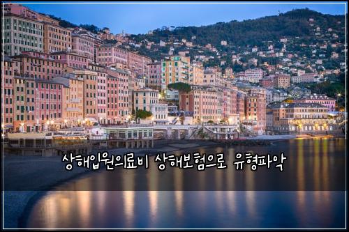 상해입원의료비 상해보험으로 유형파악