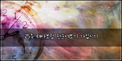 25주 태아보험 한눈에보기  가입시기