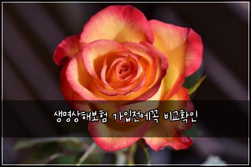 ์๋ช
์ํด๋ณดํ ๊ฐ์
์ ์๊ผญ ๋น๊ตํ์ธ