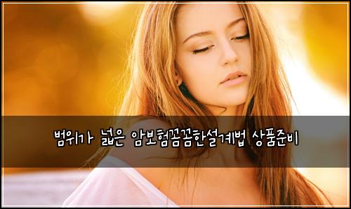 범위가 넓은 암보험꼼꼼한설계법 상품준비