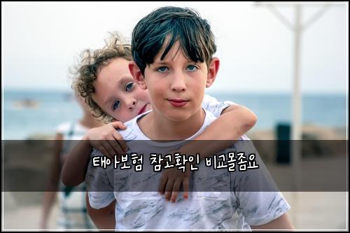 ํ์๋ณดํ ์ฐธ๊ณ ํ์ธ ๋น๊ต๋ชฐ์ข์
