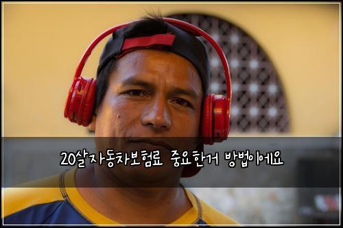 20์ด์๋์ฐจ๋ณดํ๋ฃ ์ค์ํ๊ฑฐ ๋ฐฉ๋ฒ์ด์์