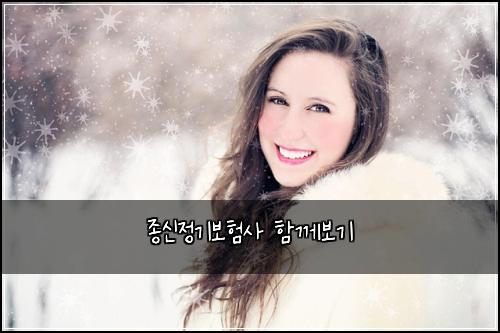 종신정기보험사 함께보기