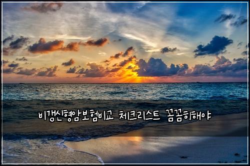๋น๊ฐฑ์ ํ์๋ณดํ๋น๊ต ์ฒดํฌ๋ฆฌ์คํธ ๊ผผ๊ผผํํด์ผ