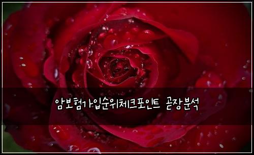 암보험가입순위체크포인트 곧장분석