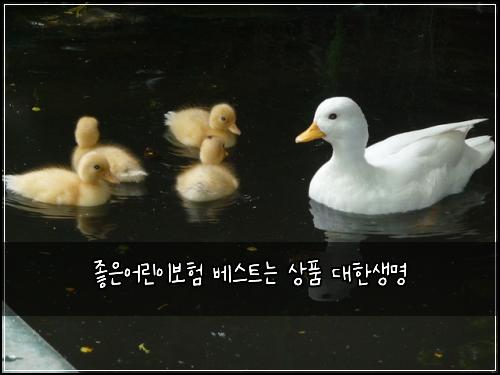 좋은어린이보험 베스트는  상품 대한생명