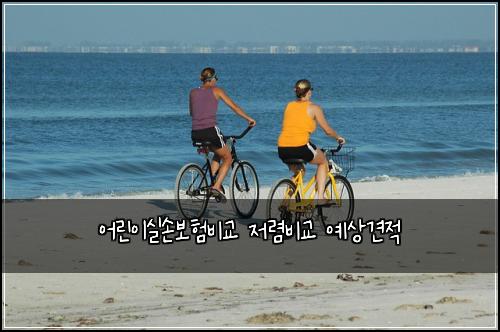 어린이실손보험비교 저렴비교 예상견적