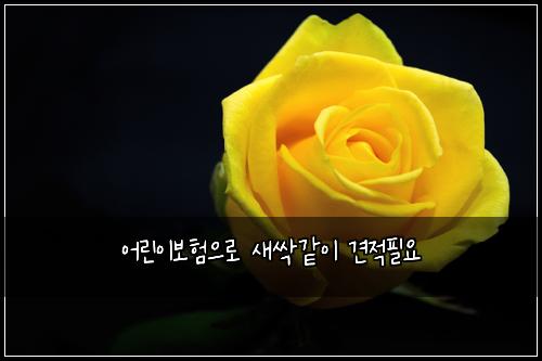 ์ด๋ฆฐ์ด๋ณดํ์ผ๋ก ์์น๊ฐ์ด ๊ฒฌ์ ํ์