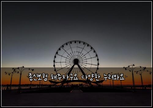 종신보험 해주자구요  다양한 누려봐요