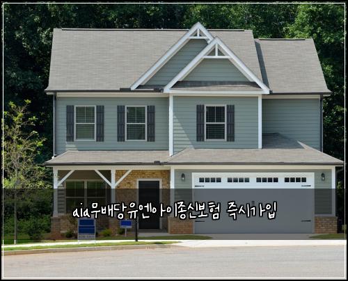 aia무배당유엔아이종신보험 즉시가입 