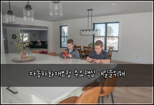 자동차화재보험 주요핵심  내일을위해