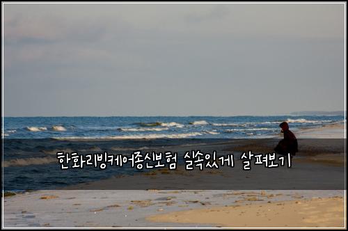 한화리빙케어종신보험 실속있게 살펴보기