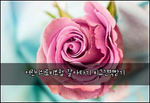 어린이의료비보험 갈아타기  비교견적받기