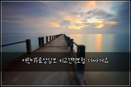 어린이무료상담보 비교견적보험 더싸게요 