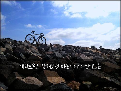 매리츠손보 상해보험 바로이거야  인기있는