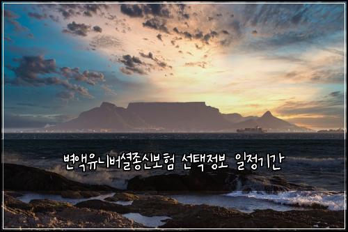 변액유니버셜종신보험 선택정보  일정기간