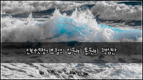 ์ธํฐ๋ท์ ๊ธฐ๋ณดํ์ ์
์๋น ํต์๋น ํต์ฌ๋ง